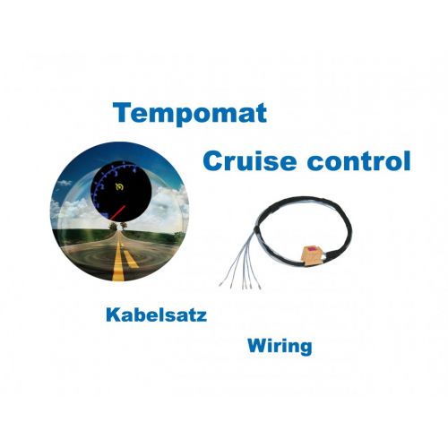 Cruise Control - Harness - VW Polo 9N