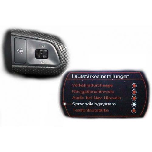 SDS Speech Dialog System - Retrofit - Audi Q7 4L