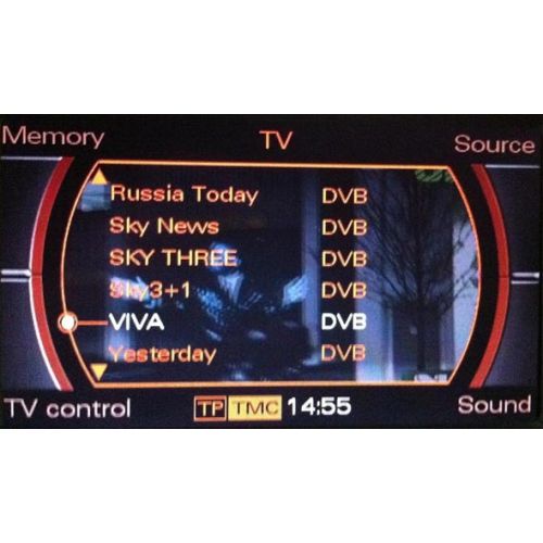Audi 3G MMI TV RECEPTION (analogue and digital)