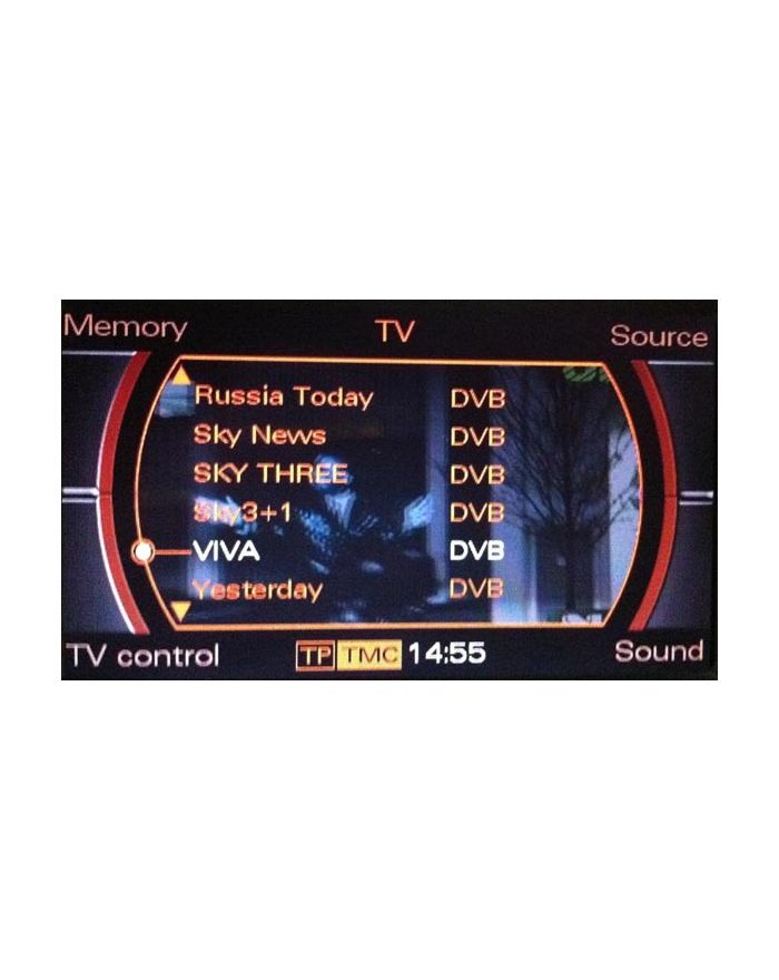 Audi RNSE TV RECEPTION (analogue and digital)
