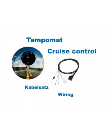 Cruise Control - Harness - VW Golf 4 TDI / SDI - Diesel