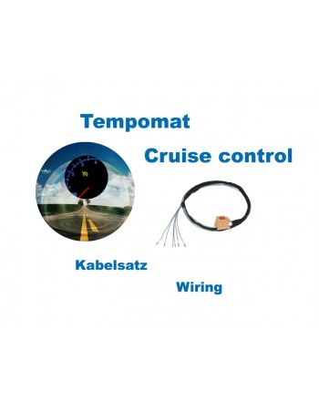 Cruise Control - Harness - VW Polo 9N