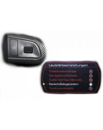 SDS Speech Dialog System - Retrofit - Audi Q7 4L